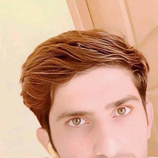Muhammad Hamid Khan